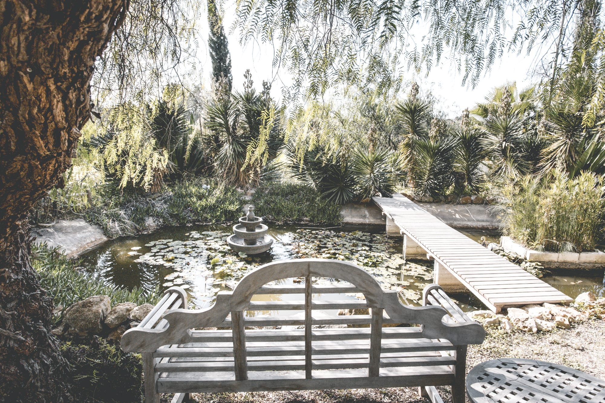 Airbnb in de Algarve tuin