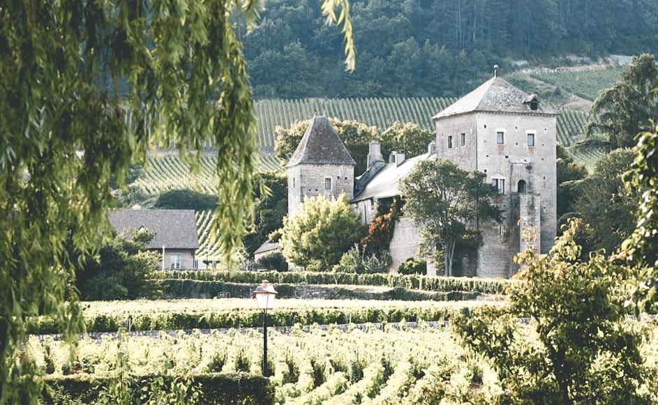 wijnstreken, 5 keer de mooiste wijnstreken van Frankrijk