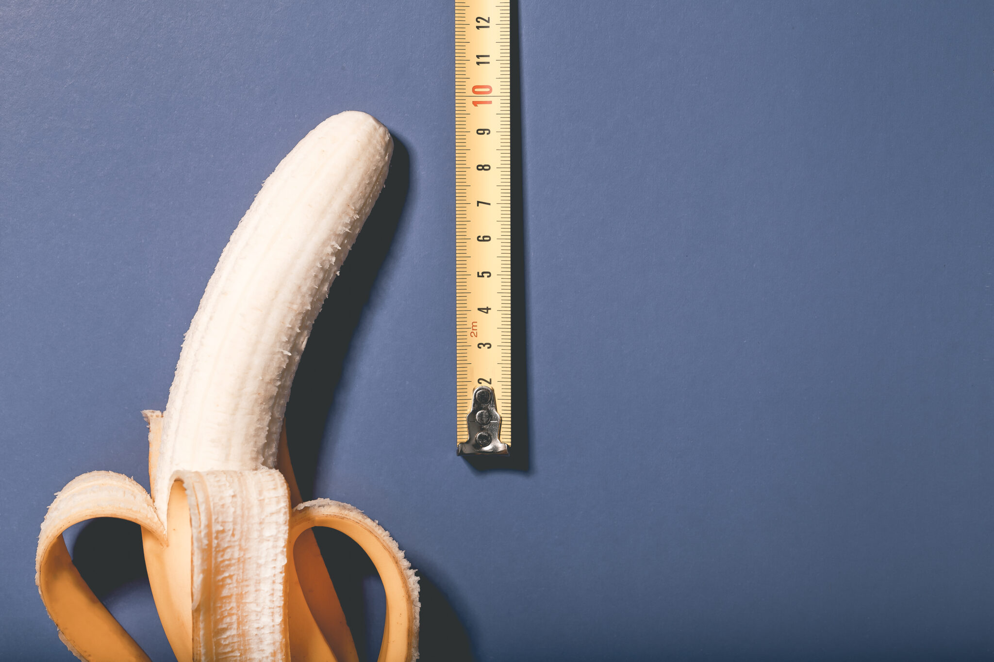 gemiddelde lengte penis