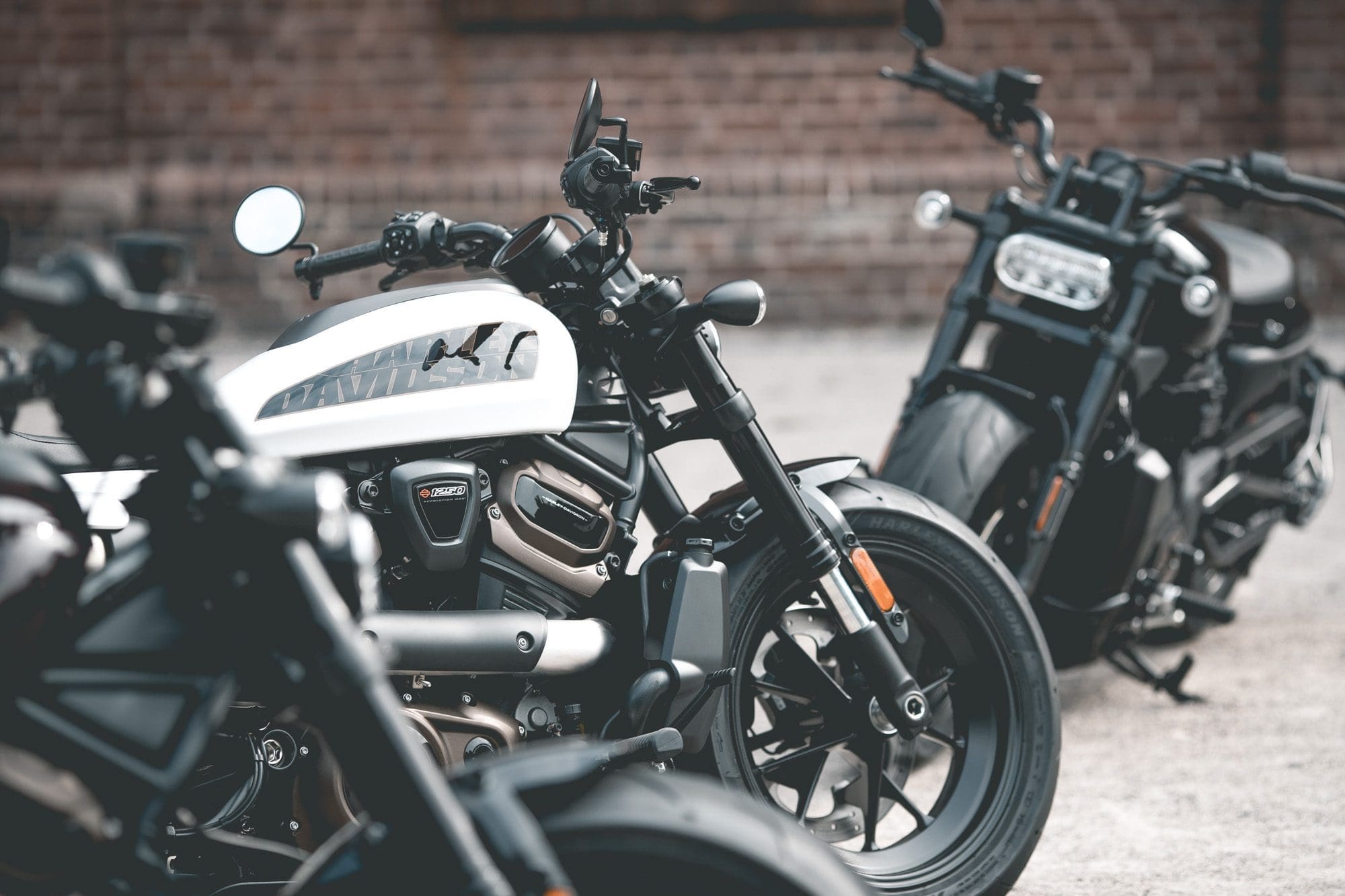 , Harley-Davidson brengt de &#8216;sport&#8217; terug in Sportster