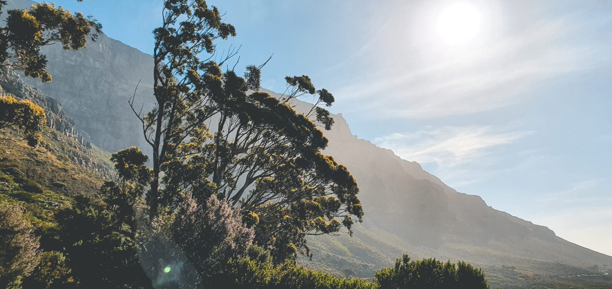 , Kaapstad: Zuid-Afrika in een citytrip!