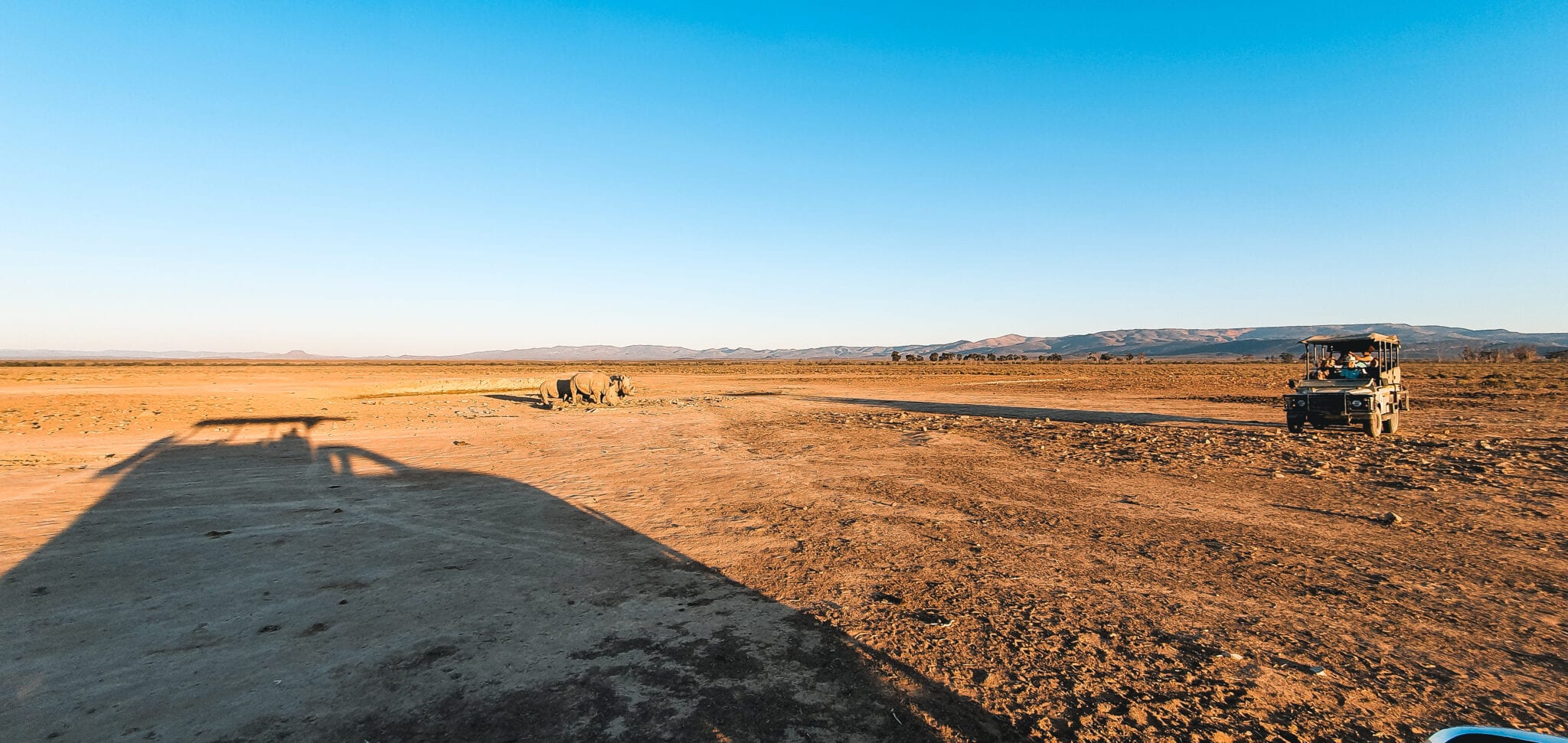 , Kaapstad: Zuid-Afrika in een citytrip!