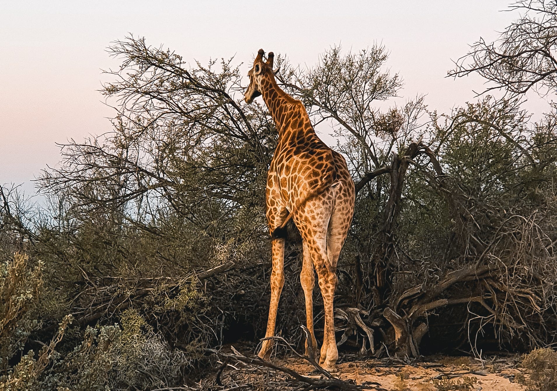 , Kaapstad: Zuid-Afrika in een citytrip!