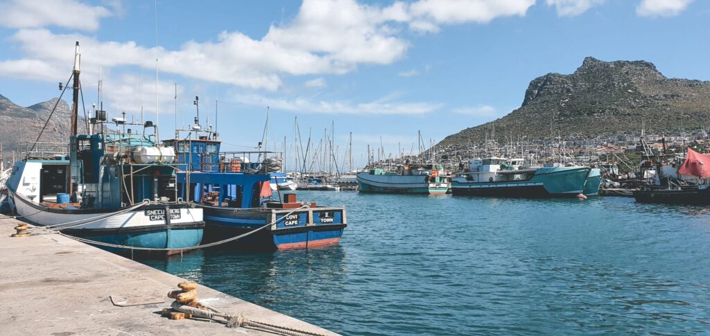 , Kaapstad: Zuid-Afrika in een citytrip!