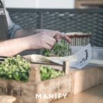 , MANIFY: Out of office, Cafe Herman [22-03-2019]