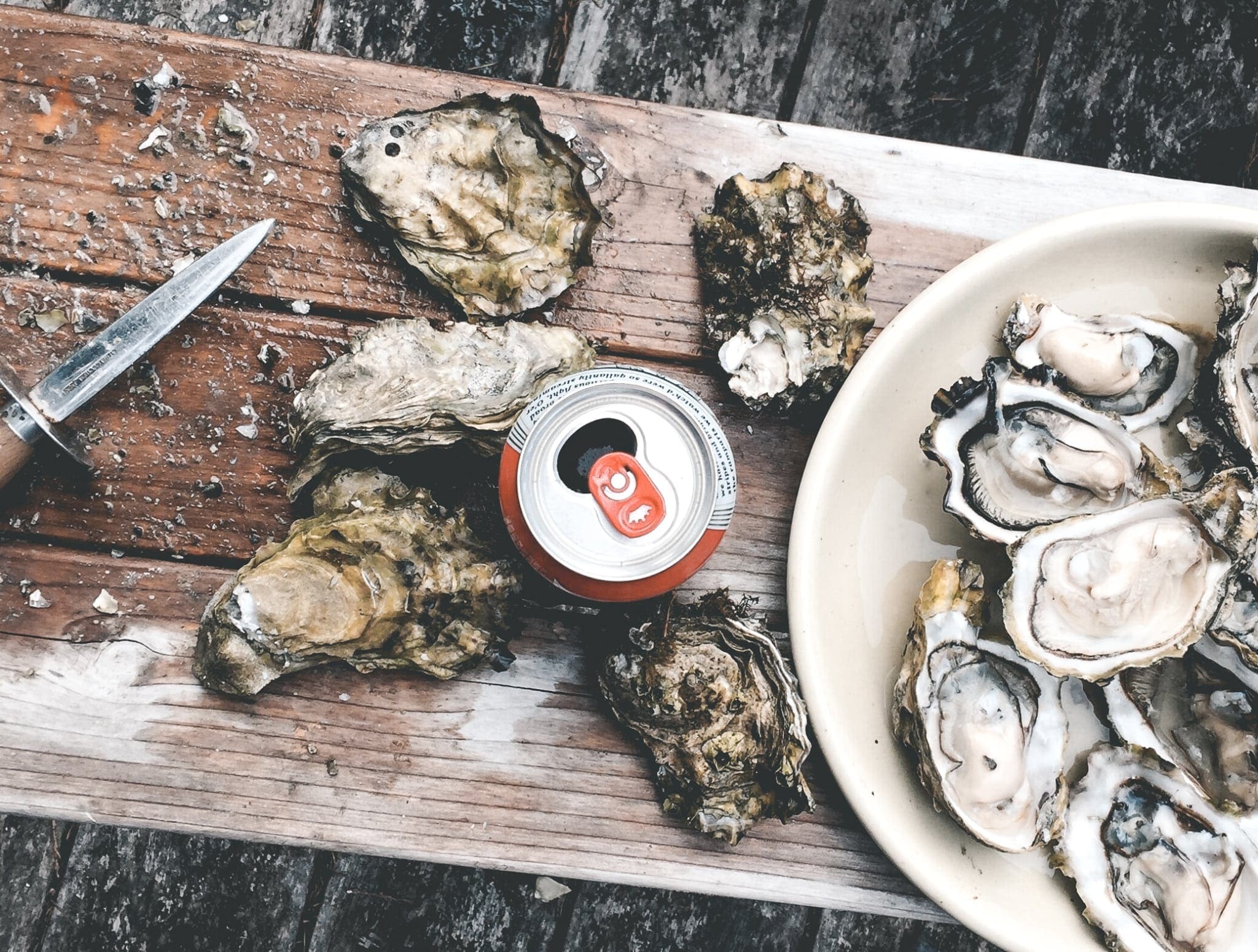 Oesters: alle ins and outs over deze ware delicatesse