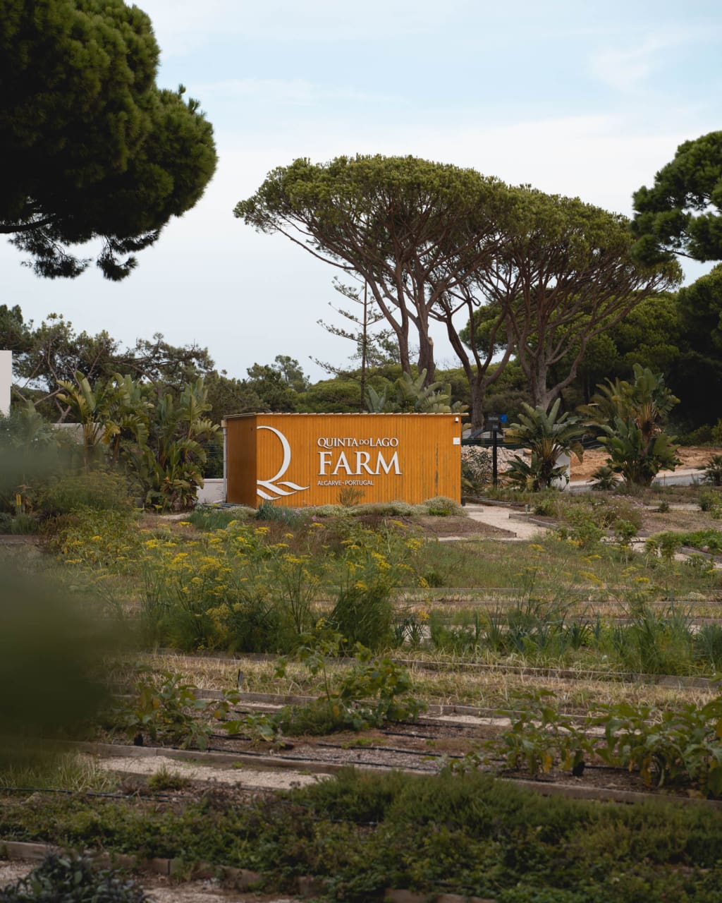 , De verfijnde, luxe charmes van <strong>Quinta do Lago</strong>